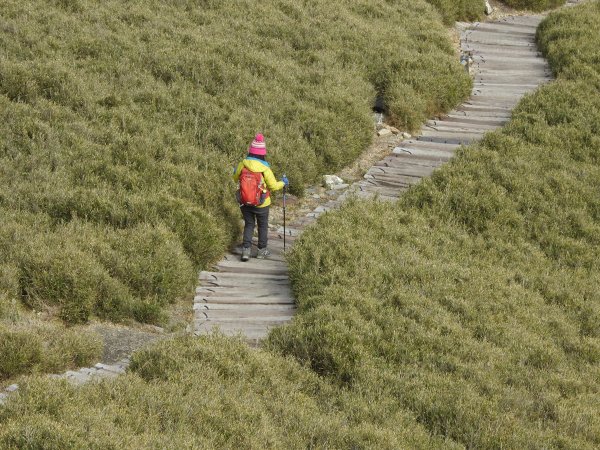 悠閒漫遊 合歡東峰1960495
