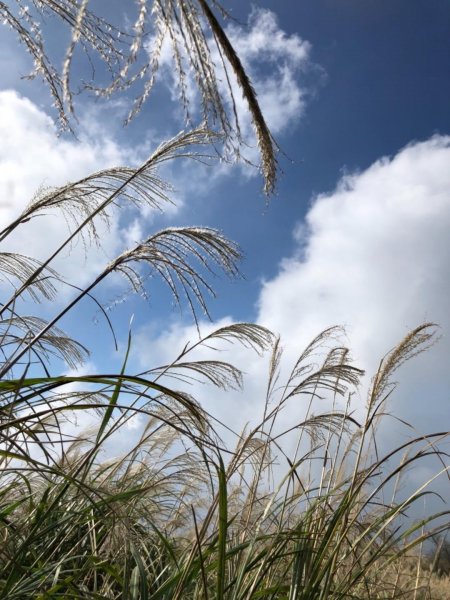 大屯山西峰542111