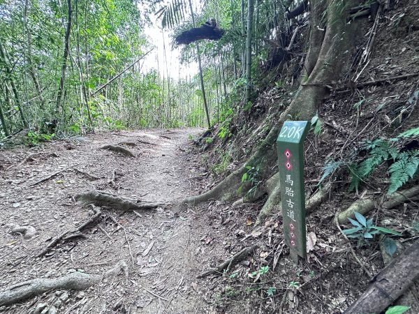 南坪古道順走馬胎古道2598430