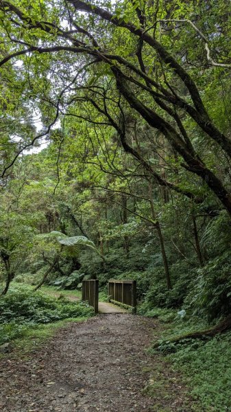 113.06.22坪溪古道-石坑山之旅2533771