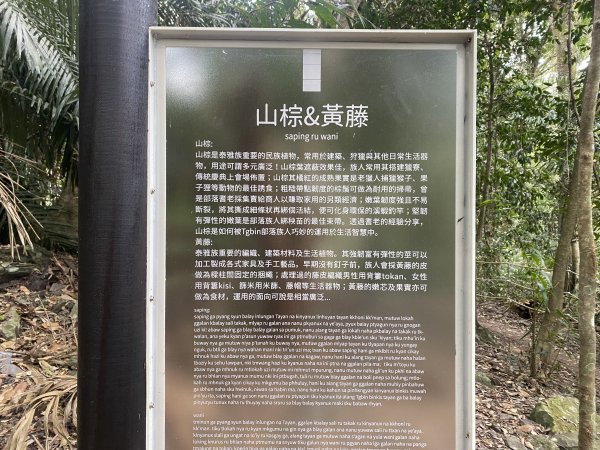 《雪山坑登山步道｜巨人之手森林秘境 Xueshankeng Hiking Trail & Giant2971074