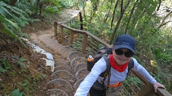 20251215林口森林步道+太平嶺海濱步道2969347