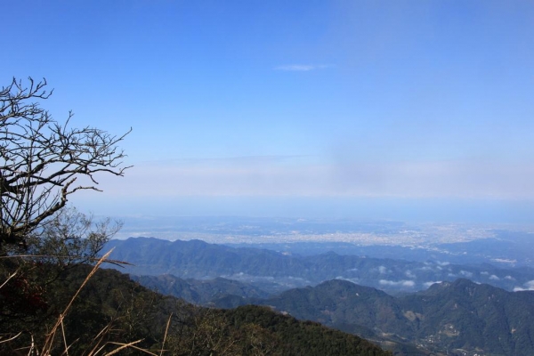 加里山賞雲海43416