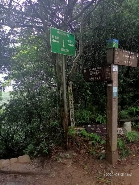 【臺北大縱走 6】中華科大→捷運麟光站、【小百岳集起來】#013 南港山 H375m2470671