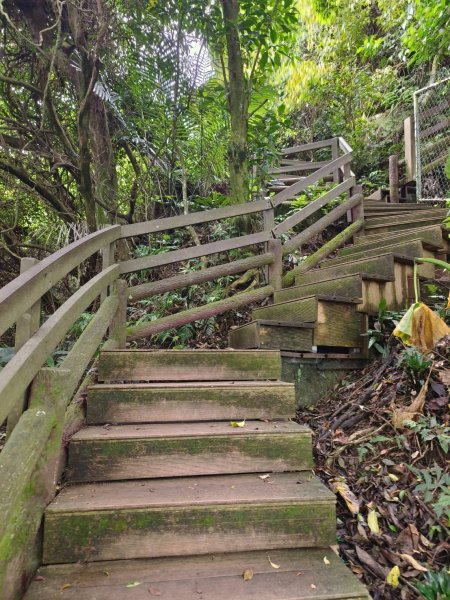 新北市-烘爐地山3053867