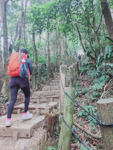 關仔嶺大凍山步道1305778