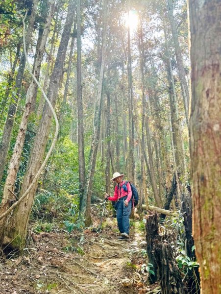 能高瀑布 福興山尋血藤3022545