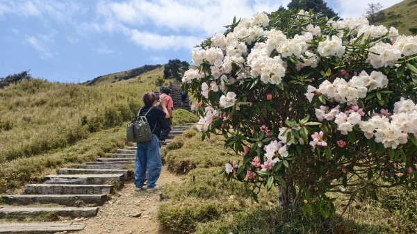如何使用安全心率來登山(小奇萊合歡東峰花季練習)