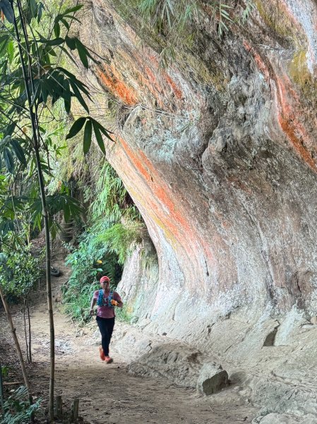 20250913_三峽鳶山爬山趣2882791