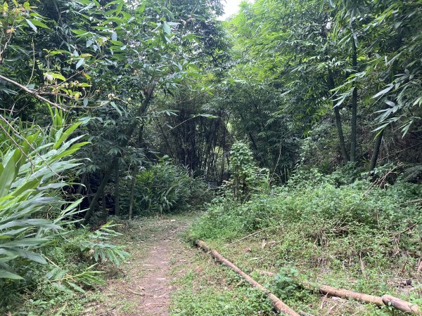 [皮皮獅探險隊-06/10] 2025_0706 四寮溪生態步道2831972