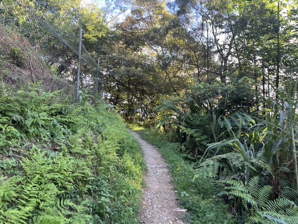 [山頂鳥40周年會員大縱走-08/15] 2024_0715 銀河洞越嶺登山步道2556751