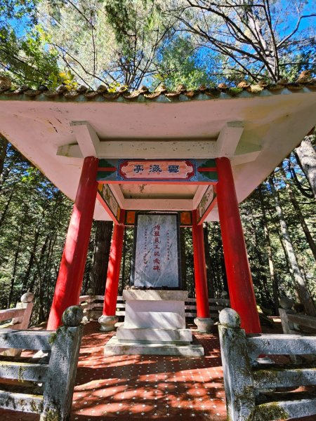 大雪山神木步道2962653