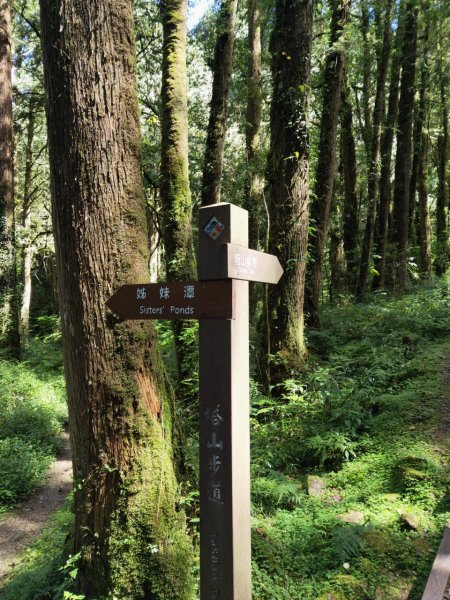 小百岳(59)-大塔山-202209251878761