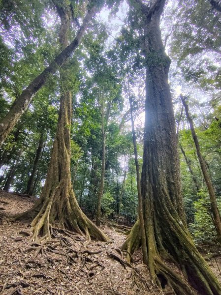 長壽山、肥崠山、醜崠山、大崠山、大崠山經建版2931560