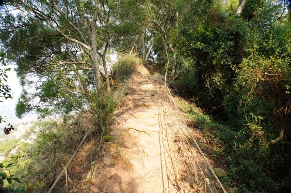 苗栗 三義 火炎山、南火炎山3020875