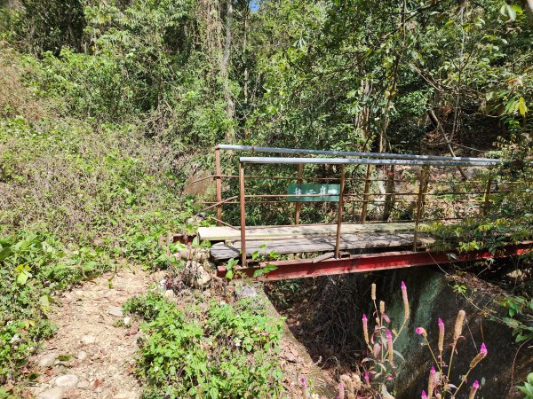 20230416大坑步道2~5+石苓湖山2175639