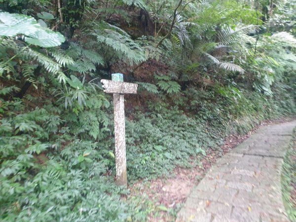 臺北大縱走第六段1516077