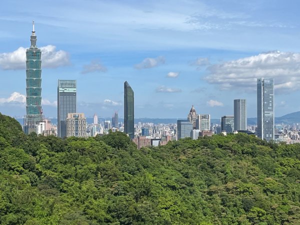 虎山行3091442