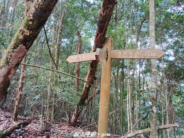 【台中和平】在虐腳的陡上中持續前進。 谷關七雄-八仙山主峰步道2367686