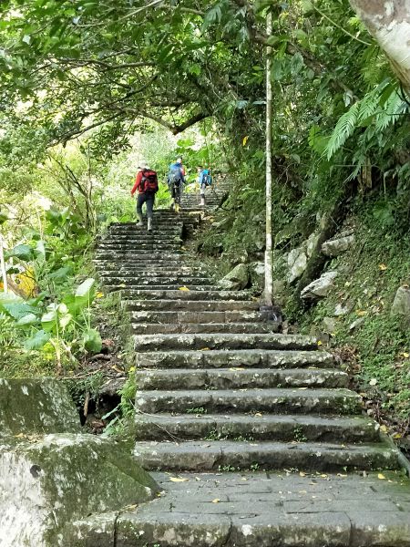 五峰旗瀑布步道353325