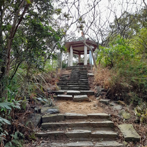 小百岳No.27⛰飛鳳山(中坑山)2405858