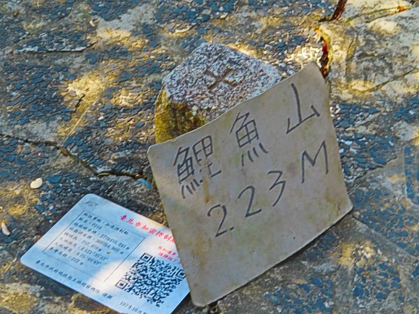 龍年首登的好選擇，鯉躍龍門，搭捷運來內湖爬三尖，鯉魚山、忠勇山、圓覺尖2426575