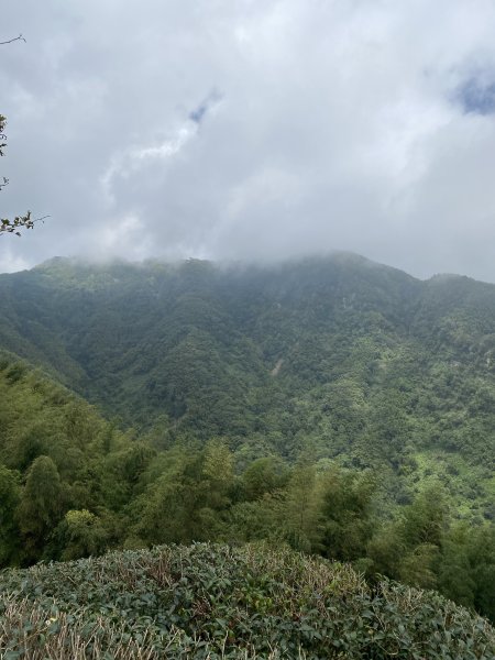 溪頭山竹崙山志騰山3061588