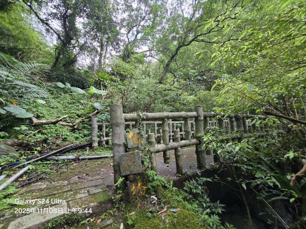2025-11-08微笑山線：【五分山系】菁桐煤礦段2932711