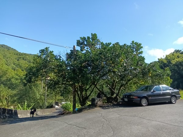 雙溪區內盤山坑古道+石硿子越嶺古道+盤山坑古道+過火坪古道O型2914347