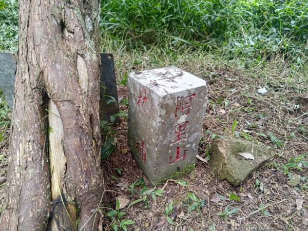 華山4-2號步道上雲嘉連峰2579385