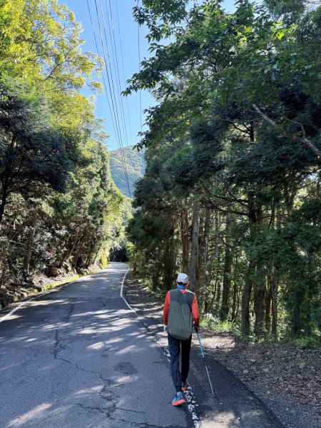 橫嶺山走走避暑趣 2025.6.112815427