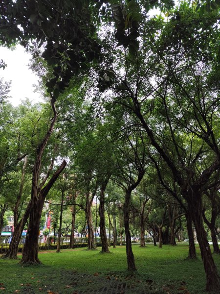 大安森林公園、西門町、象山公園【2025臺北健走趣】2834212