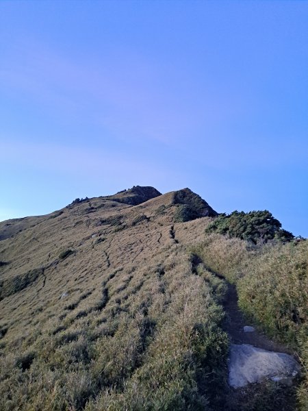 一日奇萊主山東峰(2022.10.26)1946976