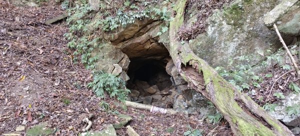 2026/03/18 加里山+大坪山 O型3020003