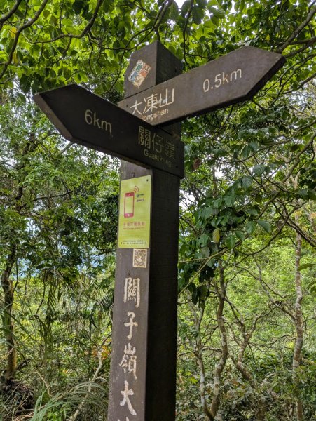 臺南大凍山2781267