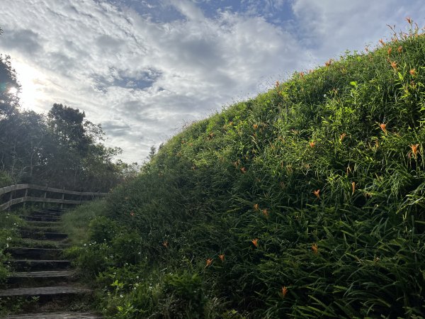 [漫遊縱谷 愛在花東-10/10] 2024_0818 太麻里金針山木馬步道（漫遊縱谷 愛在花東）2577171