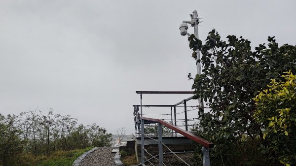 台東鯉魚山3017922