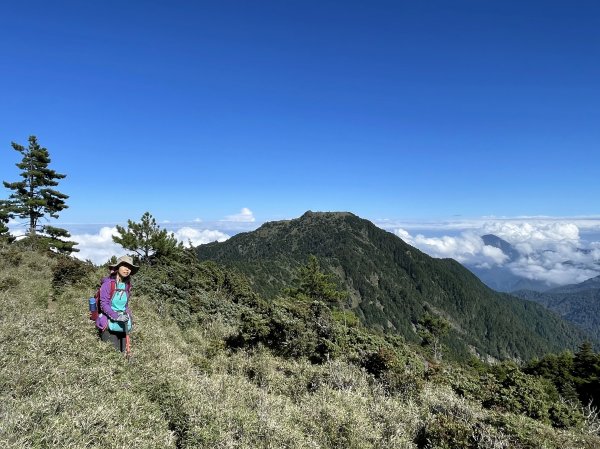 馬比杉山-2021/10/051489426