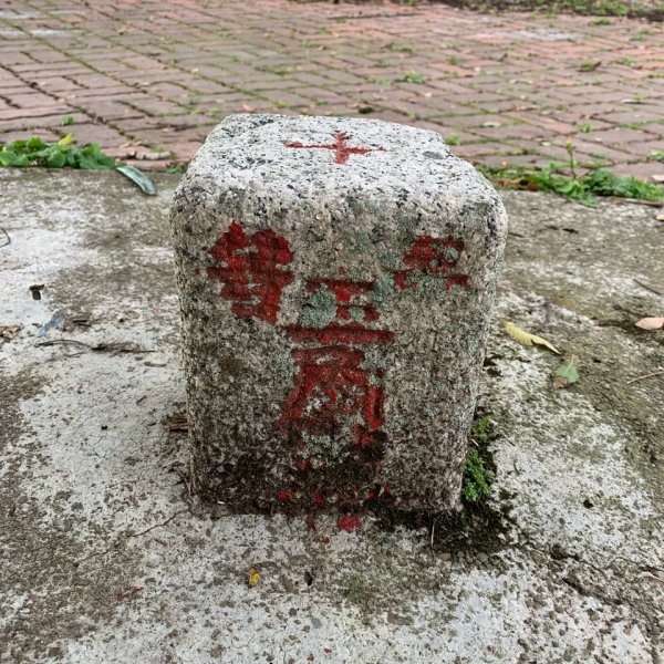 20250120高雄三縣界山-河表湖山-拉比嶺山-玉打山2697474