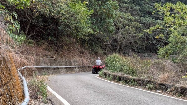 崁頭山步道3002477