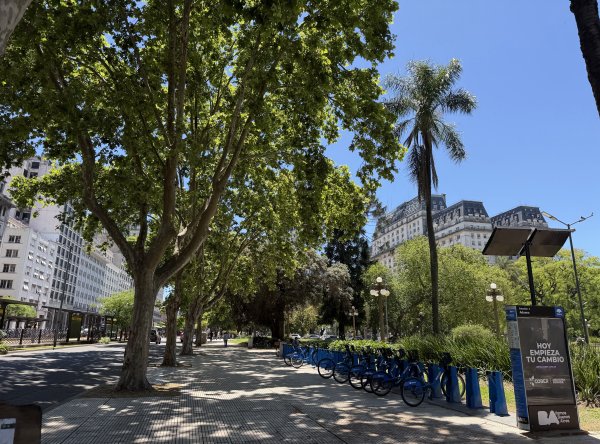 [紐約馬之行-58] 2025_1114 陸軍總部附近綠地2953811