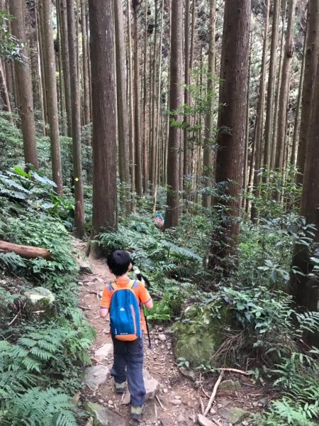 加里山鹿野線461353