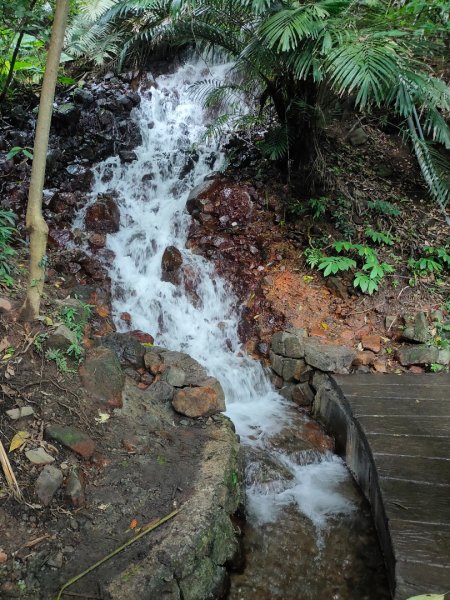 2023/6/24［陽明山古道串走］封面