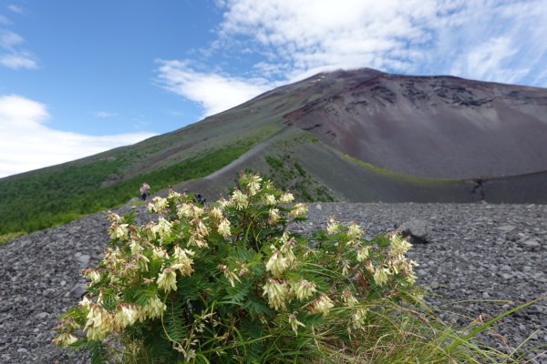 富士山御殿場線~海拔0至37762558995