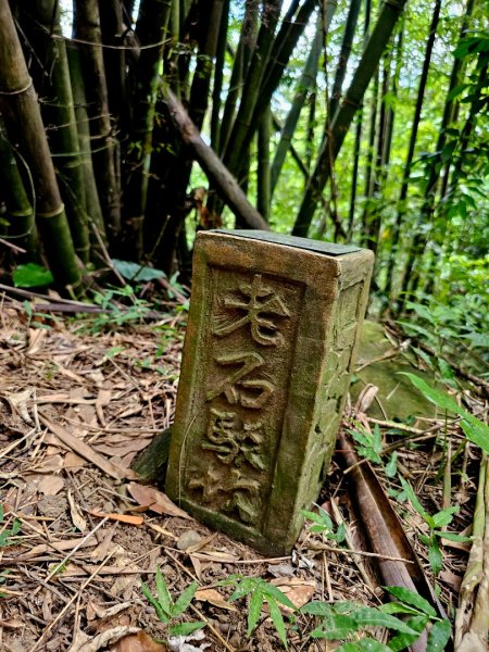 渡南古道+飛鳳古道 - 2024森遊竹縣皮皮獅Hike客任務2555024