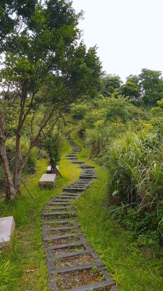 貓空登高步道705028