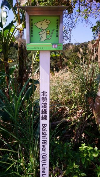 璀璨百年淡蘭古道～闊瀨古道、北勢溪古道、怣子坑古道、南豹子廚O走1260339