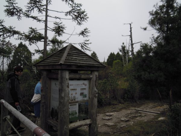 宜蘭太平山_翠峰湖&見晴懷古步道201410251961134