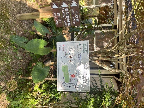 鵝公髻山/十八尖山/紅淡山/大尖山3120520