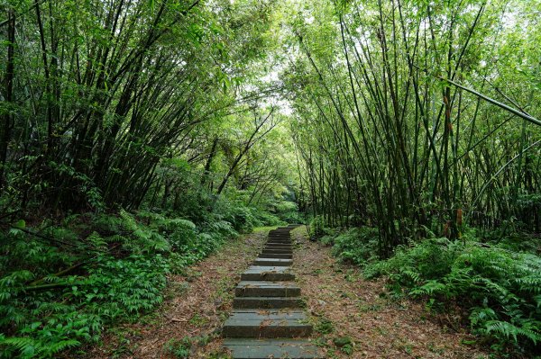 新北 瑞芳 頂子寮山、五分山2615514